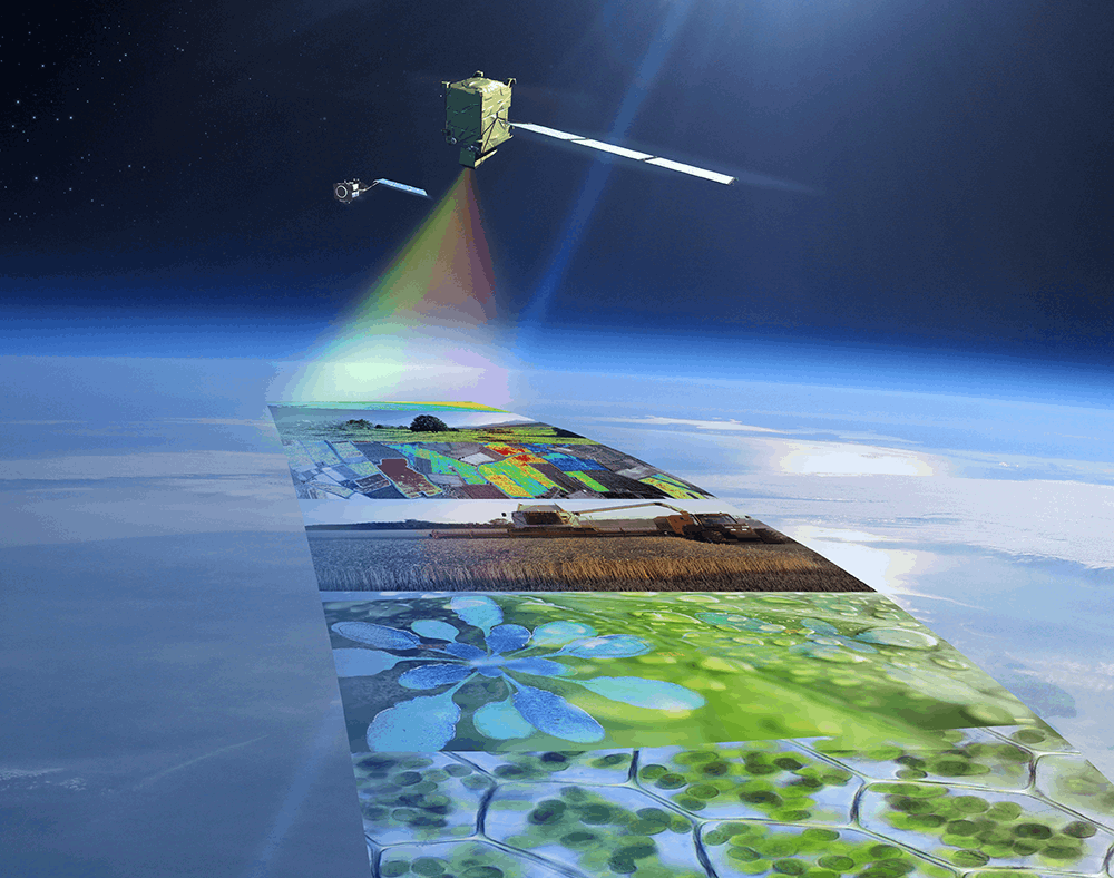 flex l2 disc environment climate earth observation magellium artal group